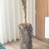 IMG 5492 2